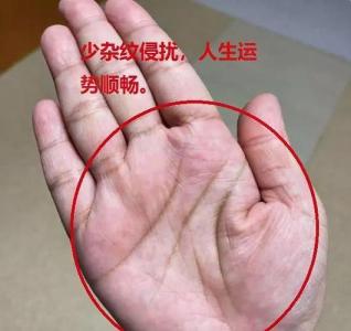 誰說女子不如男！川字掌的女人的事業，風生水起！