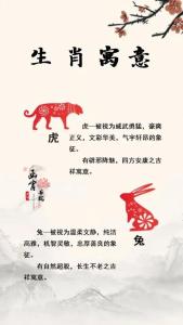 女兔男虎的性格特征 生肖虎男配生肖兔女相配嗎