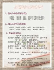 屬雞的婚配宜忌 生肖男雞和生肖女龍配不配