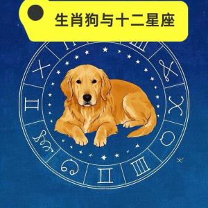 哪個星座的屬狗人財運最好 屬狗人財運最旺三個星座