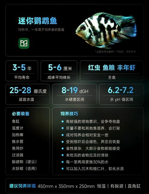 鸚鵡魚的特性