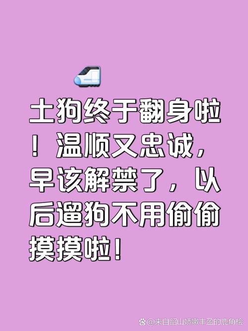 單身狗的姻緣不順怎么辦