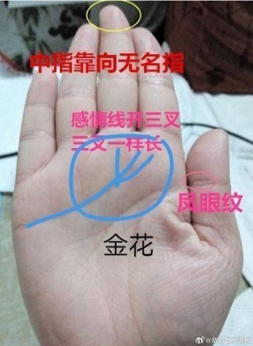 感情線止于指縫很在乎錢嗎