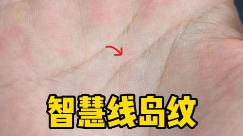 智慧線有島紋