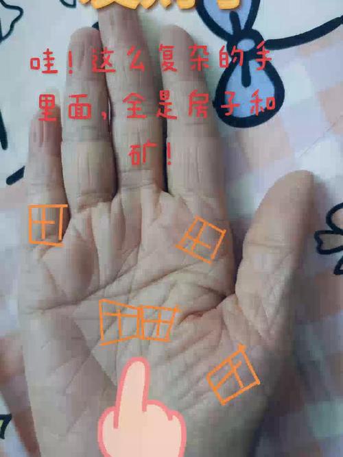 手紋中有田字紋的解析 田字紋是巨富的代表嗎