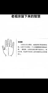 最完美玉柱線手相 玉柱線又被稱為事業線