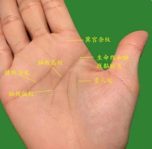 看手相貴人線 手掌貴人線是哪一條線