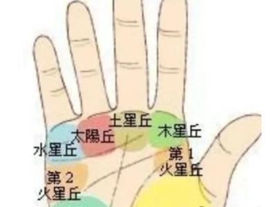 手相太陽丘豐滿多肉的寓意