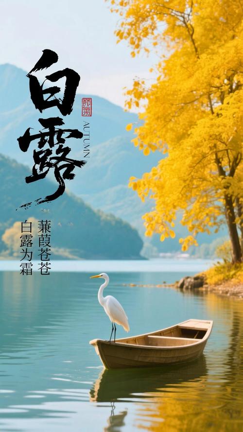 白露前后出生好嗎2022年 機靈務(wù)實不矯情
