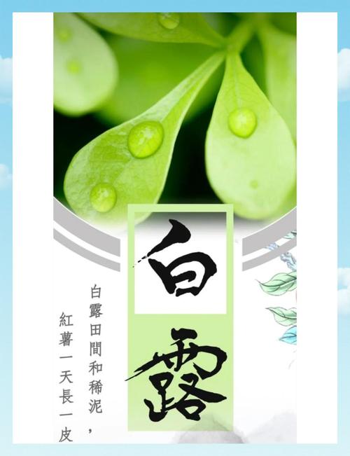 白露前的虎好還是白露后好 白露后出生虎人勤加鍛煉