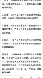 鳥屎掉女人頭上有什么預兆,是福是禍