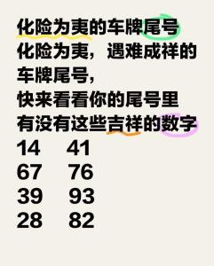 帶財(cái)運(yùn)的車牌號(hào) 數(shù)字9可爆財(cái)運(yùn)