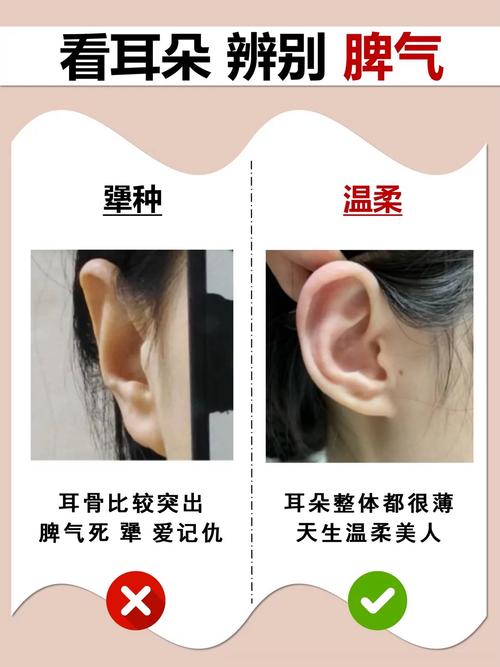 耳薄的女人面相分析  福氣少