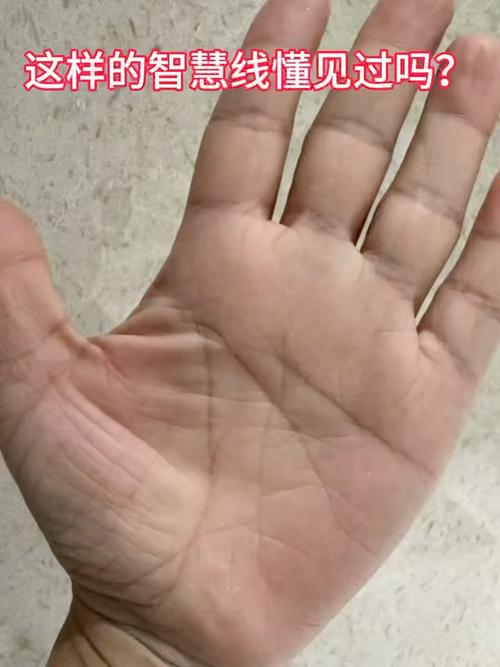 智慧線下垂到手腕的人，沒有經濟頭腦？