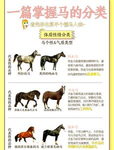 屬馬的去哪個(gè)方向發(fā)展好 2002年屬馬的事業(yè)發(fā)展方向