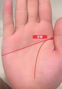 雙手智慧線斷掌之人，此生注定大有所為！