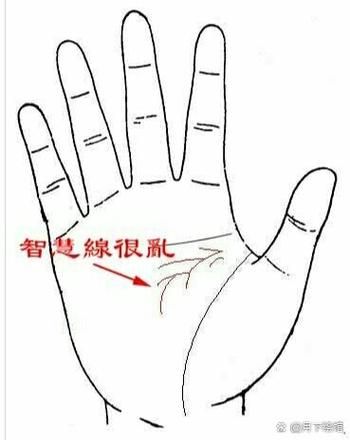 智慧線(xiàn)有亂紋的人事業(yè)如何