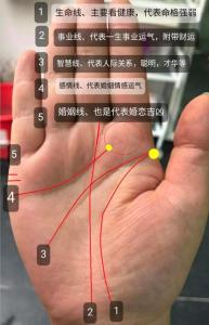女孩兒嫁得好的手相解析能當富太太