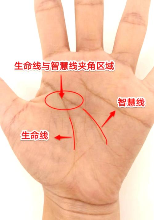 大富大貴男人手相特征 智慧線起點與生命線在同一位置