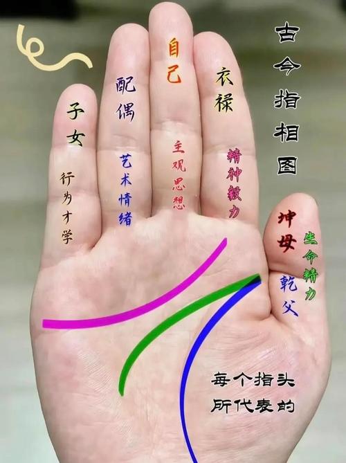 川掌紋的女人運勢 個性獨立且事業發展順