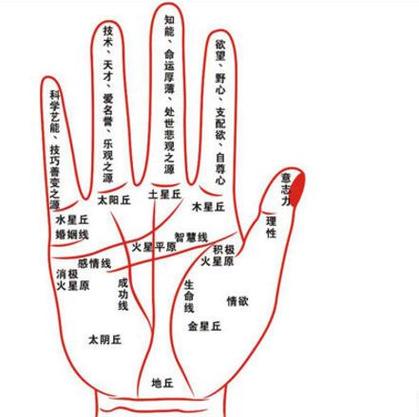 水星線手相圖解大全 水星線如何分析