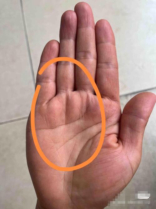 女人手掌三奇紋好不好 生活圓滿事業上升