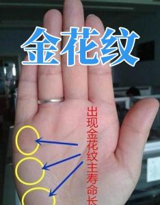 金花印紋手相圖片 一生平安大福大貴