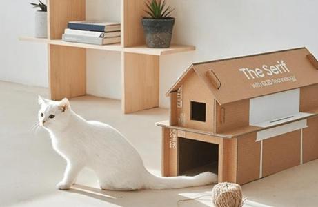 安置寵物小屋的禁忌