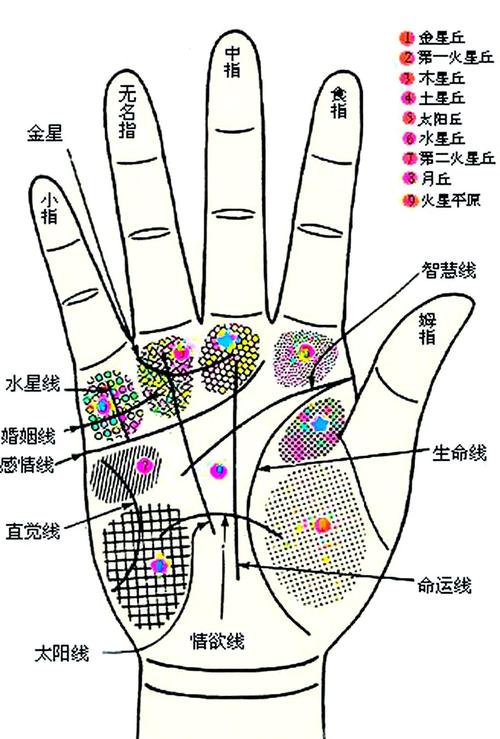 水星丘在哪 代表什么意思