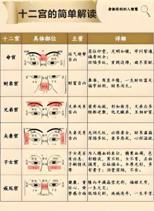 面相圖解：面相十二宮的吉兇圖解