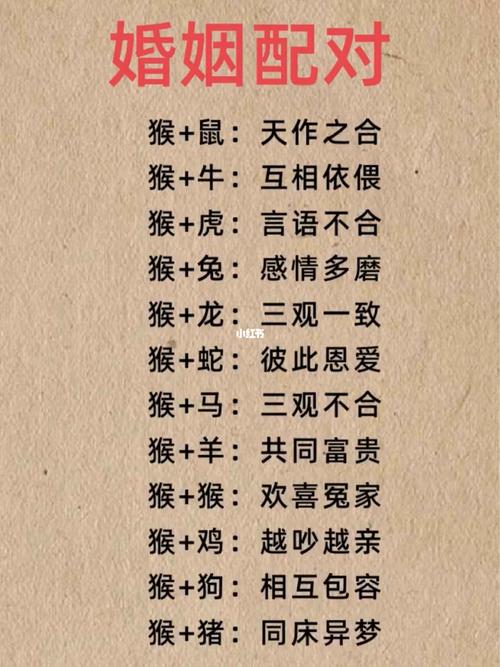 屬猴的跟哪個屬相相克 屬猴人配什么屬相最好