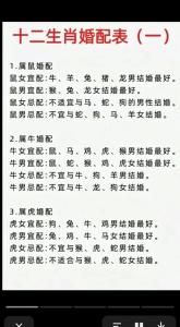 屬鼠的跟哪個屬相相克 屬鼠人配什么屬相最好