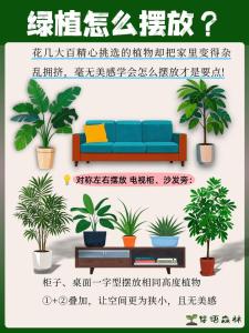 家里風(fēng)水影響婚姻如何解決 不宜擺放帶刺植物
