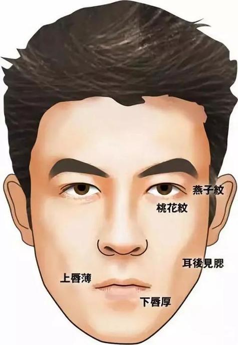 身邊不缺異性 桃花運驚人的男人面相