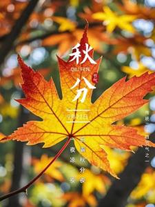 生在秋分這天的寶寶好嗎  學業多為佼佼者