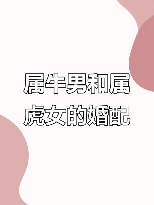 兩人相處融洽 生肖虎男跟生肖牛女配嗎