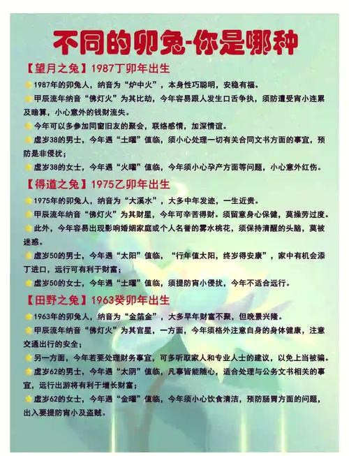 1987年屬兔2024龍年各方面運勢好不好