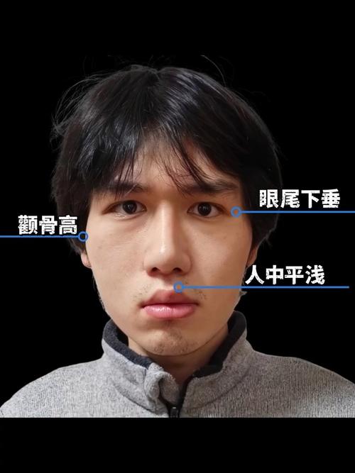 男人顴骨豐隆的面相圖