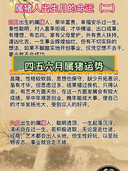 不同時辰出生的屬豬人命運分析 屬豬的下午出生好嗎