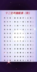 屬狗的跟哪個屬相最配 屬狗人一生的命運如何