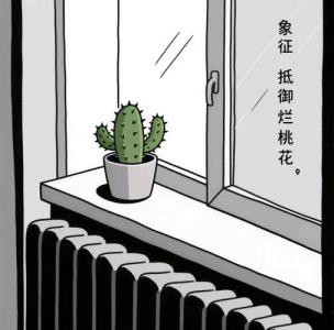 家里犯桃花的風(fēng)水  鏡子太多會(huì)招爛桃花