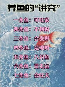 風水魚養多少條比較好？