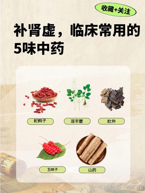 風(fēng)水腎虛在家里埋點(diǎn)什么中藥好