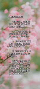 時(shí)柱七殺有貴子是真的嗎