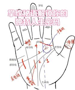 人生大起大落終獲圓滿的手相