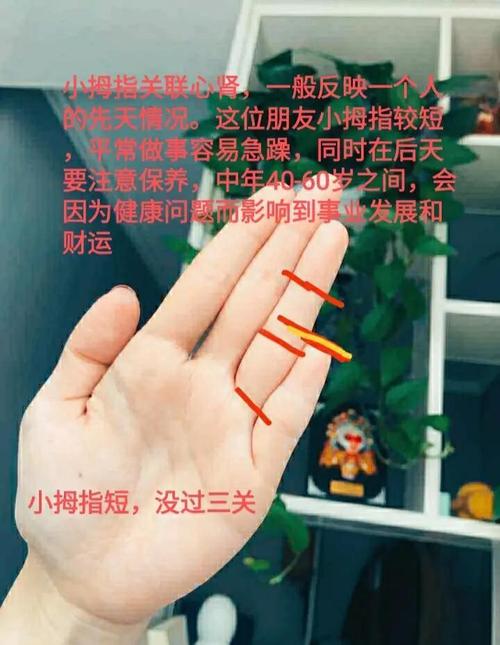 解析：小指短的人是否易犯小人