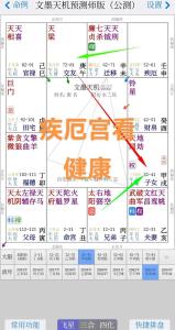 疾厄宮看另一半身體強弱以及事業狀況