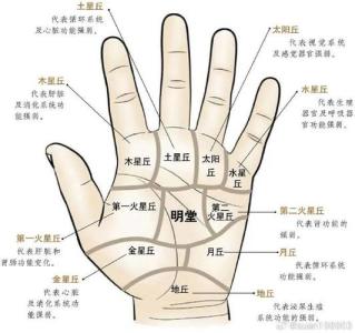 解析：什么是木星丘，代表著什么？