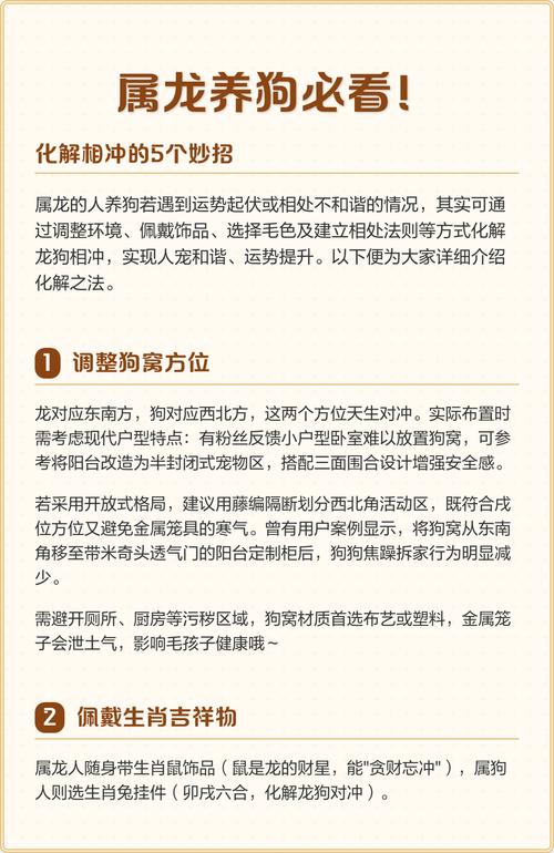 屬狗人今年如何轉運 生肖屬狗人2024龍年有什么災難坎坷