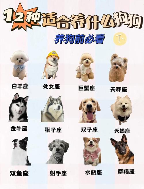 那些裝單身狗勾搭妹子的星座男